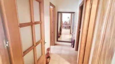 Apartment in Santa María del Águila photo 11