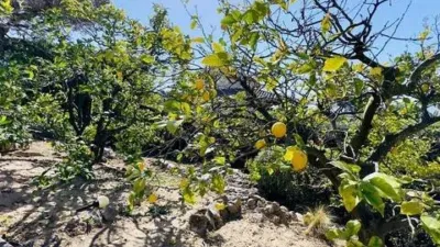 Chalet on Avinguda del Maresme photo 49