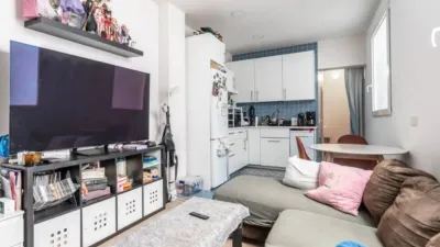 Apartment in Opañel photo 3