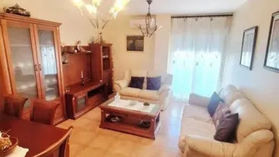 Apartment in Santa María del Águila photo 12