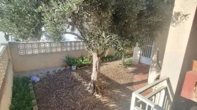 House in Almerimar photo 10