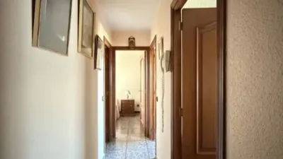 Apartment in Numancia photo 16