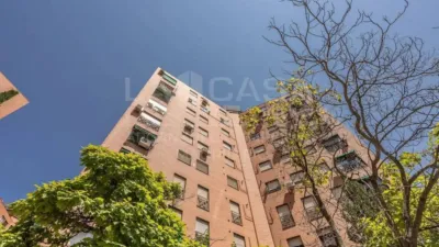 Apartment in Hellín photo 55
