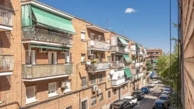 Apartment in Buenavista photo 37