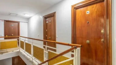 Apartment in Vista Alegre photo 33