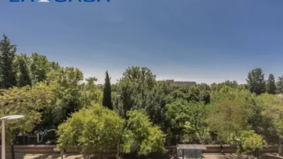 Apartment in Vista Alegre photo 60