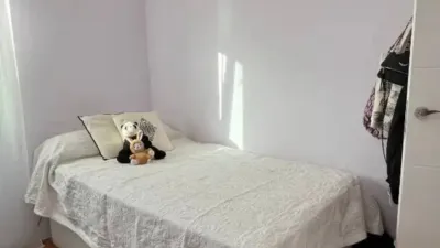 Apartment in Velilla de San Antonio photo 18