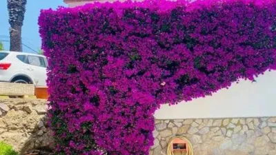 Chalet on Avinguda del Maresme photo 64