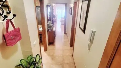 Apartment in Santa María del Águila photo 2