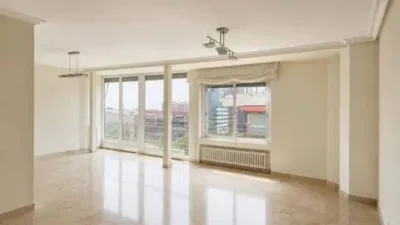 Penthouse on Paseo de la Castellana photo 2
