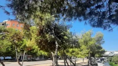 Flat in Comillas photo 31