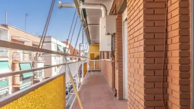 Apartment in Vista Alegre photo 2