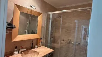 Penthouse on Paseo de la Castellana photo 29