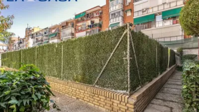 Apartment in Buenavista photo 44