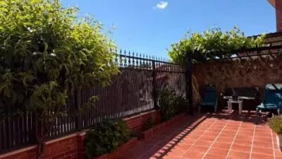 Chalet in Campo Real photo 61