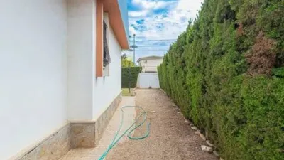House in Cabo de Palos photo 28