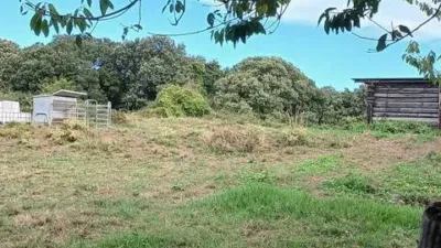 Rustic house in Plentzia photo 18