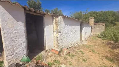 Rustic house in Alcaucín photo 19
