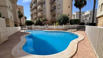 Pis – Torrevieja, El Palmeral - Vista 3