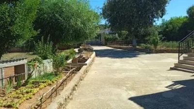 Chalet in Almoguera photo 27