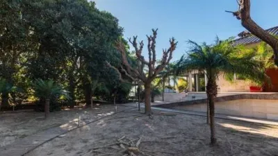 Chalet en Los Ramos photo 66