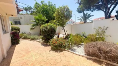 Casa – Orihuela, Mil Palmeras - Vista 5