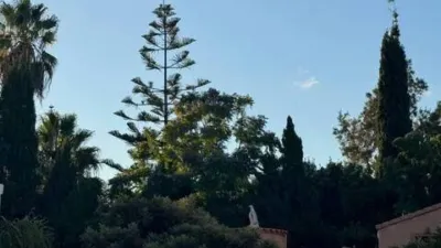 Terraced house in Palmera photo 3