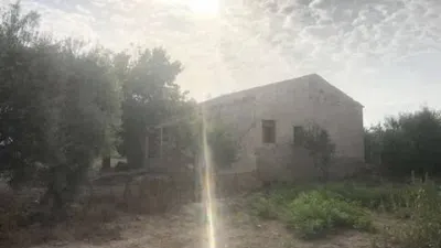 Pis - Vista 2
