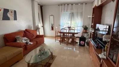 Apartment in Almoradí photo 46