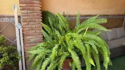 Townhouse in Algeciras photo 7