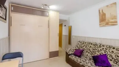 Piso en Avenida Manuel Mena Palma photo 15