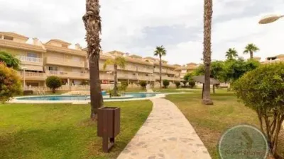 Apartment in Gran Alacant photo 53