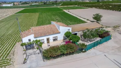 Piso – Orihuela - Vista 2