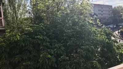 Apartment in Ensanche photo 24