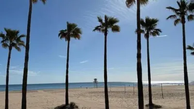 Apartment in Playa de Gandia photo 8