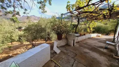 Rustic house in Alcaucín photo 5
