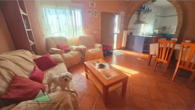 Chalet in Alcaucín photo 8