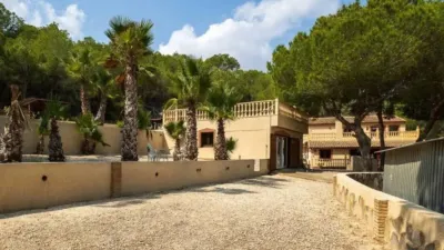 Pis – Orihuela - Vista 2