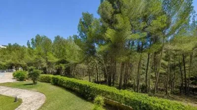 Apartment in Sant Agustí photo 2