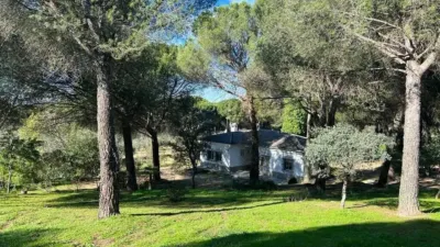 Rustic house on Calle N-A, -1 photo 7