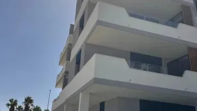 Apartment in Sant Joan d'Alacant photo 5