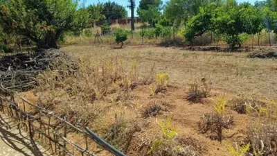 Chalet in Almoguera photo 28
