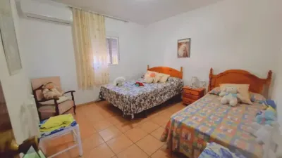 Chalet in Alcaucín photo 14