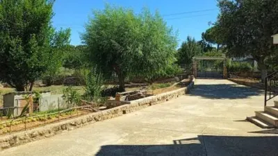 Chalet in Almoguera photo 32