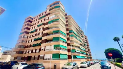 Pis – Torrevieja - Vista 3