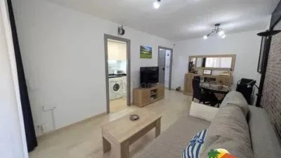 Apartment on Carrer de la Riera photo 4