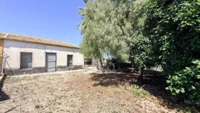 Pis – Elx / Elche, Regs del Porvenir, la Marina - Més