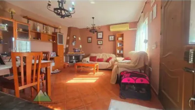 Chalet in Alcaucín photo 7
