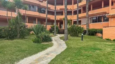 Apartment in Playa Bahía Dorada photo 18