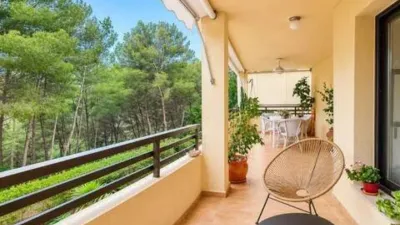 Apartment in Sant Agustí photo 3